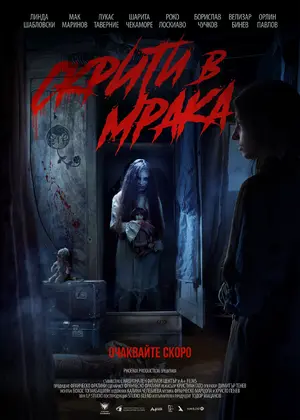 Hidden in the Dark Poster