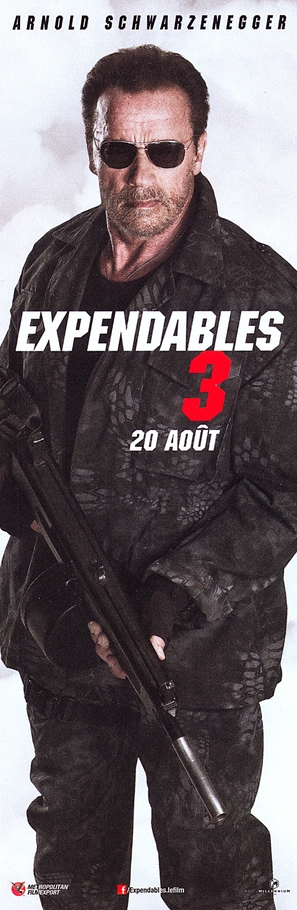 The Expendables 3 - French Movie Poster (thumbnail)