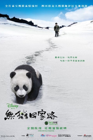 Touch of the Panda - Chinese Movie Poster (thumbnail)