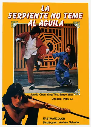 Fearless Master Poster