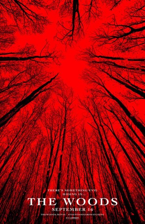 Blair Witch - Teaser movie poster (thumbnail)