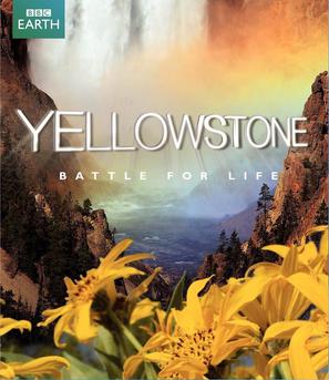 &quot;Yellowstone&quot; - Blu-Ray movie cover (thumbnail)