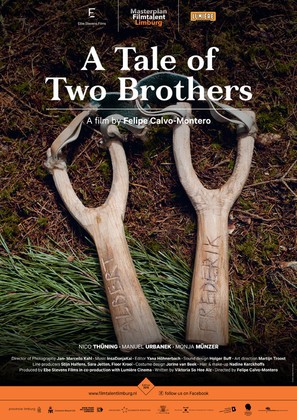 A Tale of Two Brothers - Dutch Movie Poster (thumbnail)