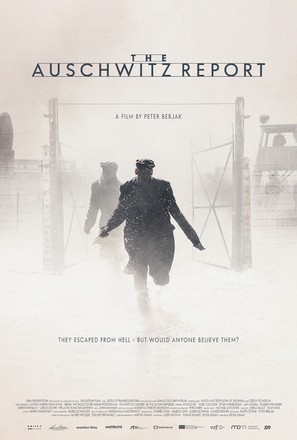 The Auschwitz Report - Movie Poster (thumbnail)