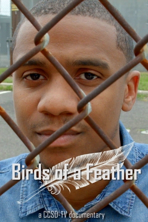Birds of a Feather - Movie Poster (thumbnail)
