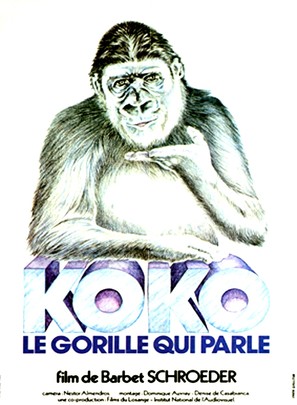 Koko, le gorille qui parle - French Movie Poster (thumbnail)