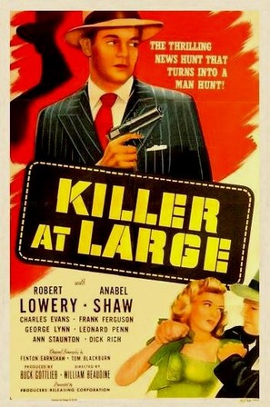 Killer at Large - Movie Poster (thumbnail)