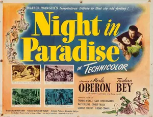 Night in Paradise Poster