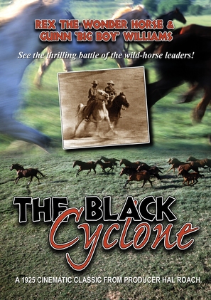 Black Cyclone - DVD movie cover (thumbnail)