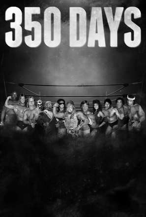 350 Days - poster (thumbnail)