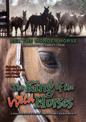 The King of the Wild Horses - DVD movie cover (thumbnail)