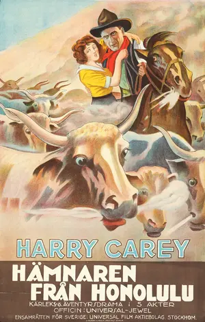 The Outlaw and the Lady Poster