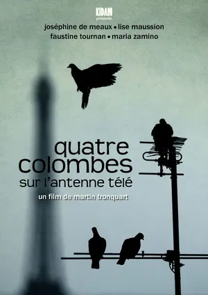 Quatre colombes sur l'antenne télé Poster