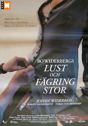 Lust och f&auml;gring stor - Swedish Movie Poster (thumbnail)