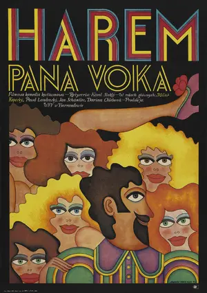 Svatby pana Voka Poster