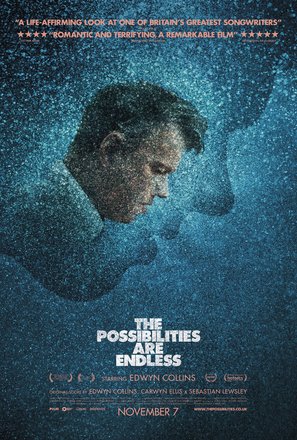The Possibilities Are Endless - British Movie Poster (thumbnail)