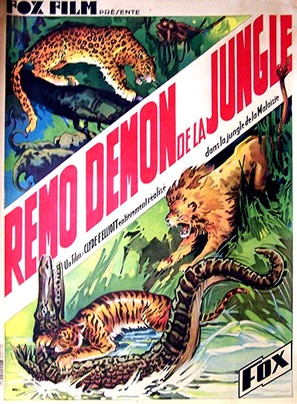 The Devil Tiger - French Movie Poster (thumbnail)