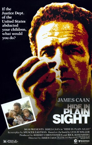 Hide in Plain Sight - Movie Poster (thumbnail)