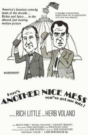 Another Nice Mess - Movie Poster (thumbnail)