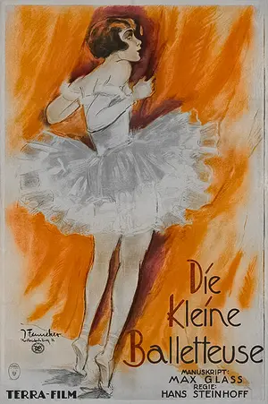 Frau Sopherl vom Naschmarkt Poster