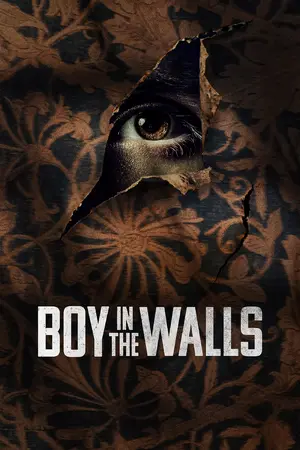 Boy in the Walls Cover