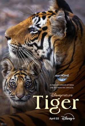 Tiger - Movie Poster (thumbnail)