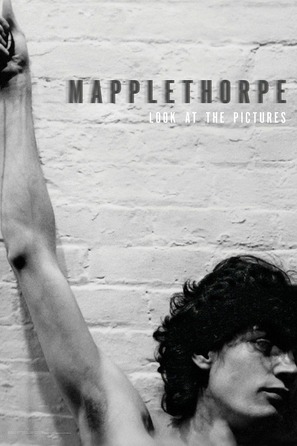 Mapplethorpe: Look at the Pictures - Movie Poster (thumbnail)