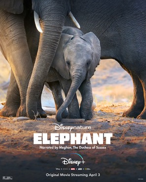 Elephant - Movie Poster (thumbnail)