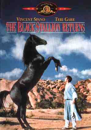 The Black Stallion Returns - DVD movie cover (thumbnail)