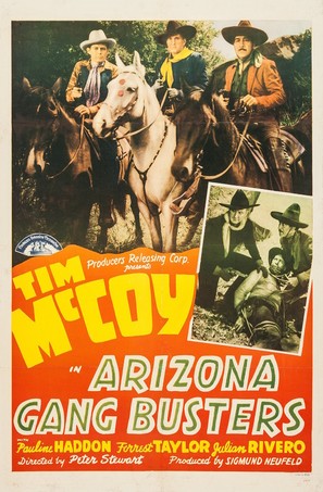 Arizona Gang Busters - Movie Poster (thumbnail)