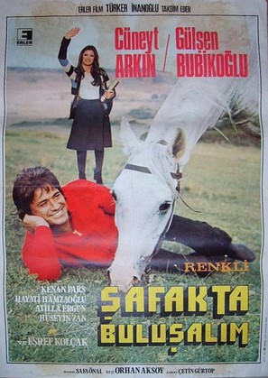 Safakta bulusalim - Turkish Movie Poster (thumbnail)