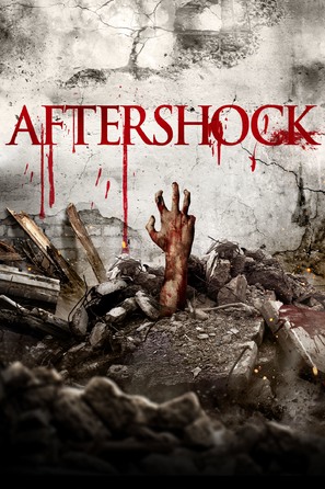 Aftershock - DVD movie cover (thumbnail)