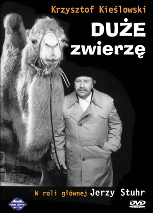 Duze zwierze - Polish poster (thumbnail)