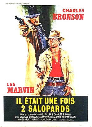 The Meanest Men in the West - French Movie Poster (thumbnail)