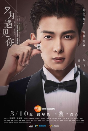 &quot;Nice to Meet You&quot; - Chinese Movie Poster (thumbnail)