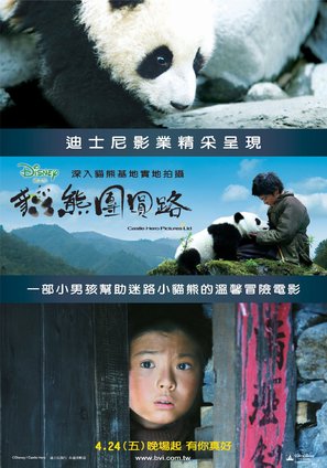 Touch of the Panda - Taiwanese Movie Poster (thumbnail)