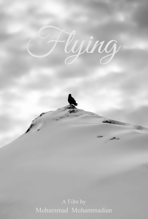 Flying - Movie Poster (thumbnail)