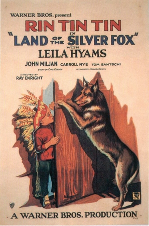 Land of the Silver Fox - Movie Poster (thumbnail)