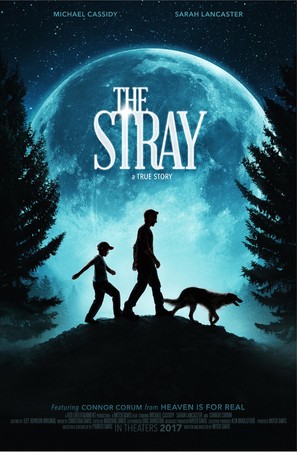 The Stray - Movie Poster (thumbnail)