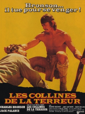Chato&#039;s Land - French Movie Poster (thumbnail)