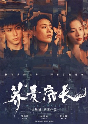 Wild Grass - Chinese Movie Poster (thumbnail)