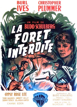 Wind Across the Everglades - French Movie Poster (thumbnail)