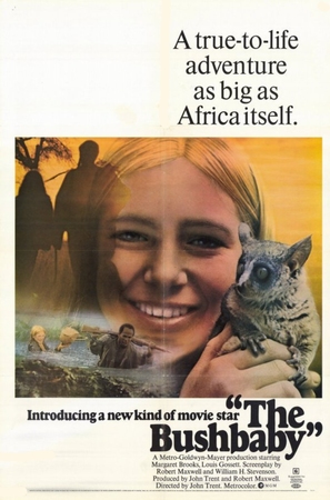 The Bushbaby - Movie Poster (thumbnail)