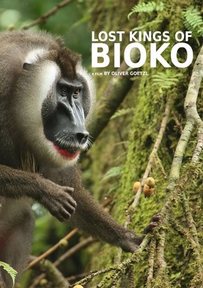 Lost Kings of Bioko - International Movie Cover (thumbnail)