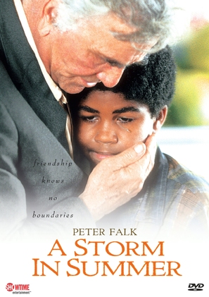 A Storm in Summer - DVD movie cover (thumbnail)