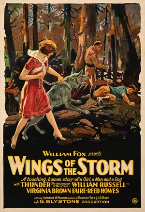 Wings of the Storm Poster