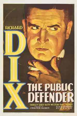 The Public Defender - Movie Poster (thumbnail)