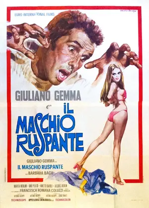 Il maschio ruspante Poster