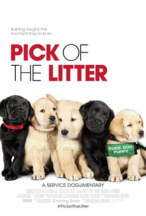 Pick of the Litter - Movie Poster (thumbnail)