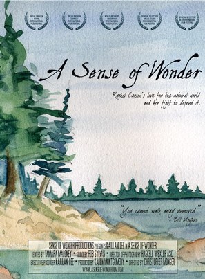 A Sense of Wonder - Movie Poster (thumbnail)